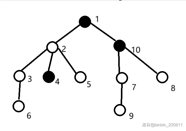 数据结构选讲-1 总结