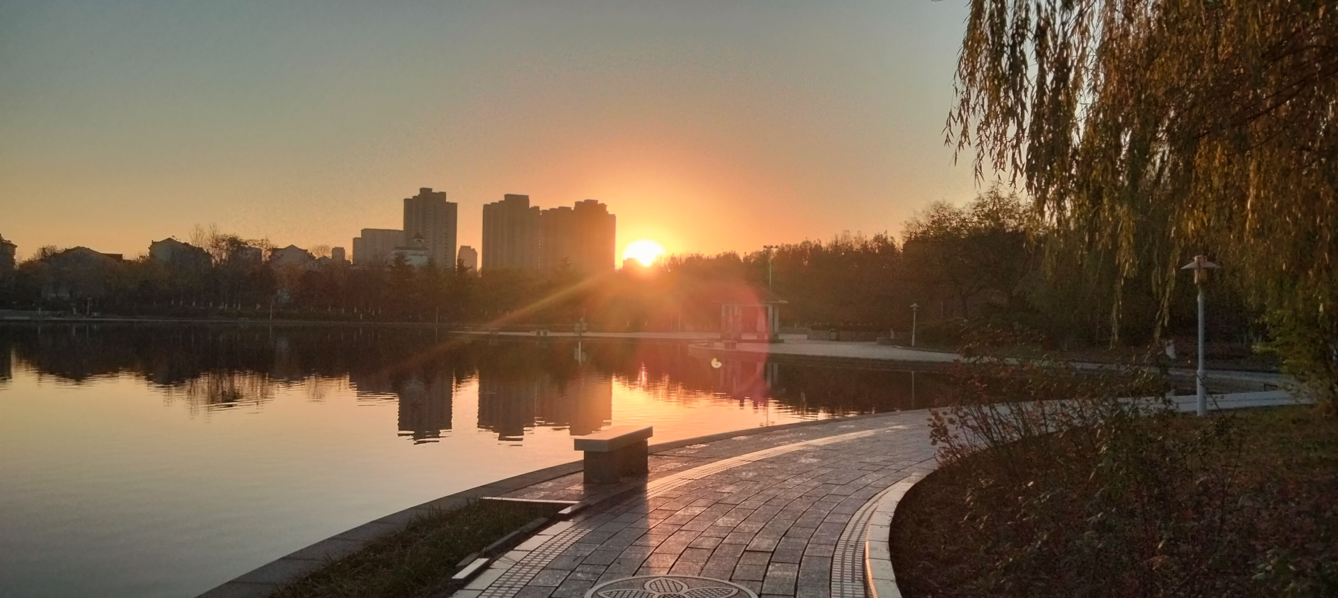 摄于2024年11月29日,早晨7点