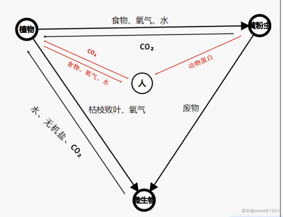 洛谷文章存档