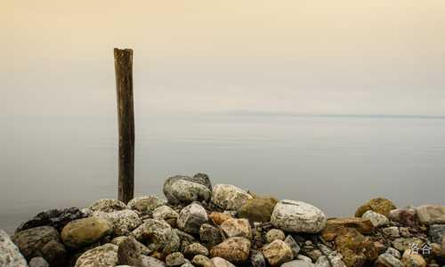 图片来自网络,侵权必究