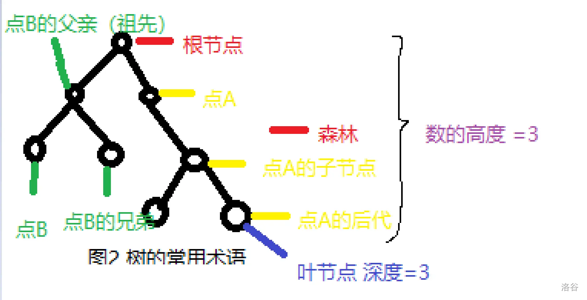 图2 数的术语