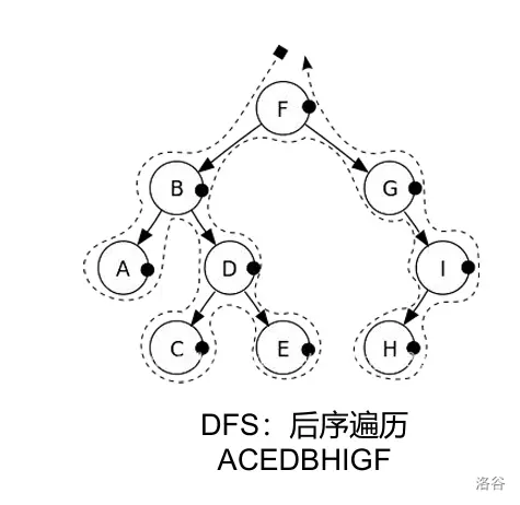 树（基础）