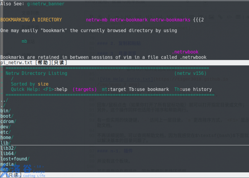 Vim Netrw