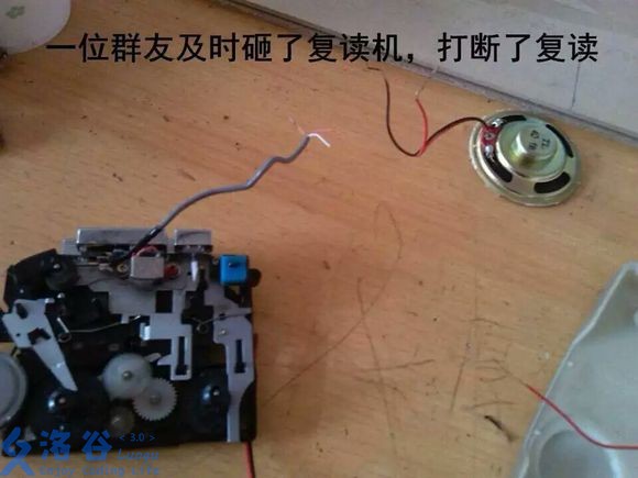 此时一名虽然不能AKNOIP但是很帅的谷友打断了复读