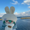 刘同学