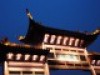 wanghaoyu1008