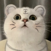 da_ke